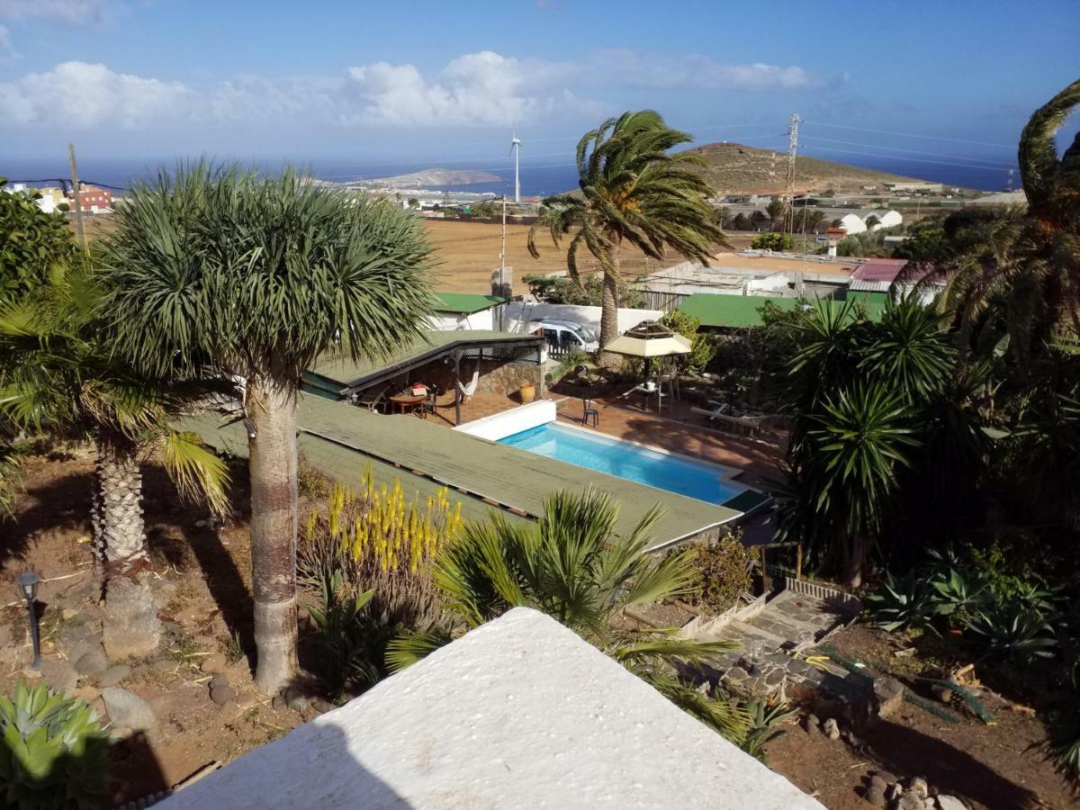 Palmeras Ingenio Exterior photo