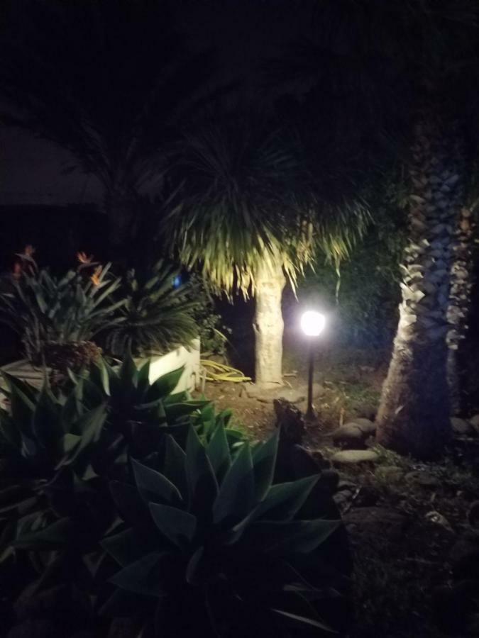 Palmeras Ingenio Exterior photo