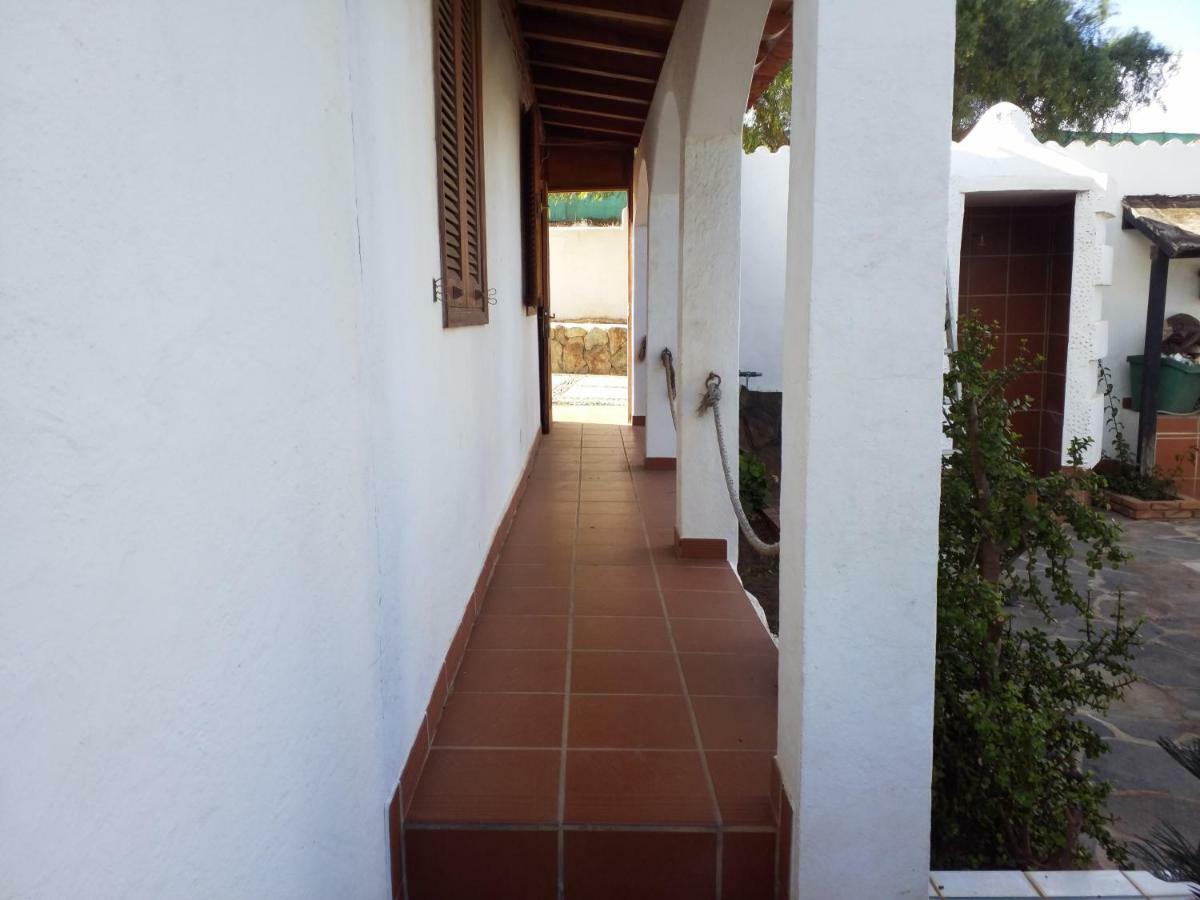 Palmeras Ingenio Exterior photo